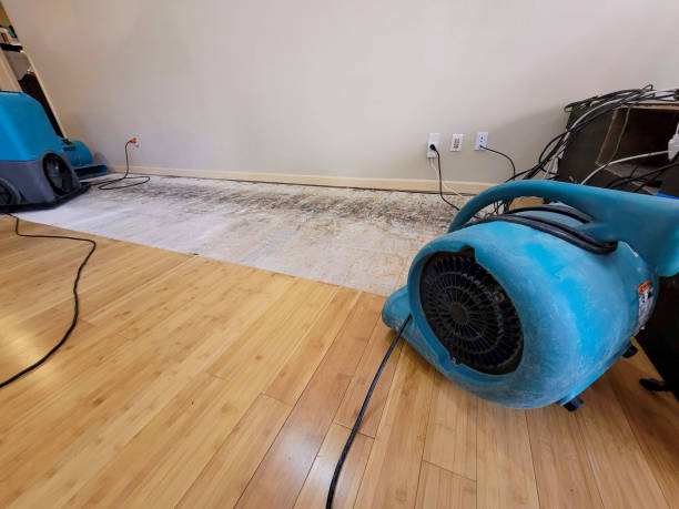 Professional Water Damage Repair technician working in Buttonwillow, CA
